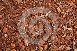 Peat soil with coconut spathe fiber