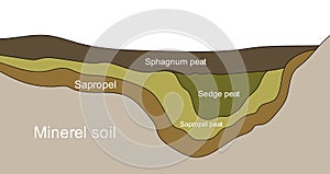Peat vector illustration