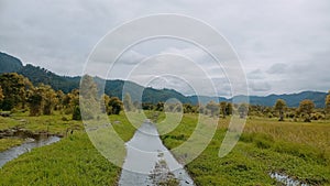 The Peatland Ecosystem in The Highland Of Sumatra