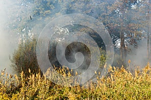 Peatland fires in summer