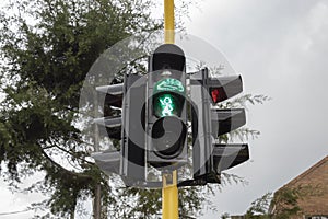 Peatonal green traffic light on with a tree and grey cloud photo