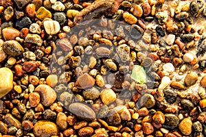 Pebbel stones on a beach with glass shard