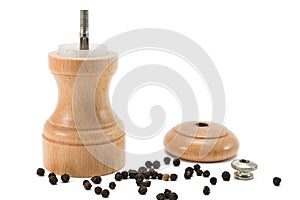 Pebber grinder apart