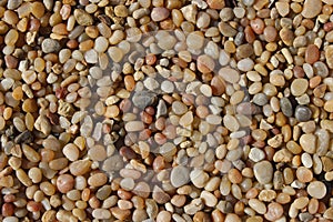 Pebble Background