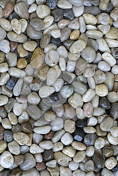 Pebble background