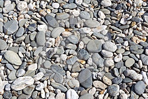 Pebble background. Pebbly beach in New Zealand