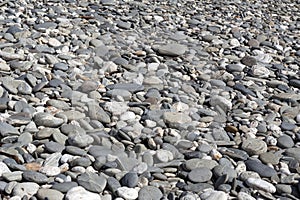 Pebble background. Pebbly beach in New Zealand