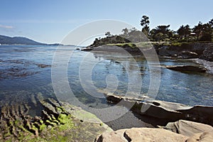 Pebble Beach along the Monterey Bay