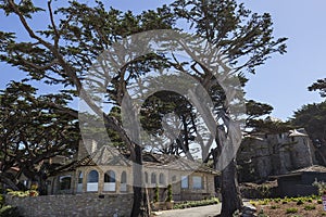 Pebble Beach golf course, Monterey, California, USA