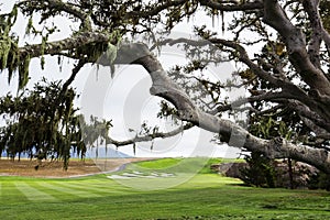 Pebble Beach golf course, Monterey, California, USA