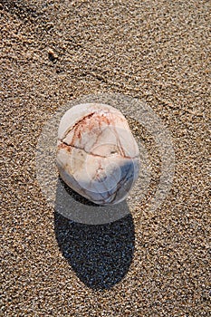 Pebble on the beach on the Greek island