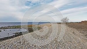 Pebble beach of Pakri Peninsula, Paldiski