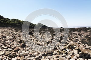 Pebble beach, Somerset