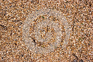 Pebble beach from the Spanish coast