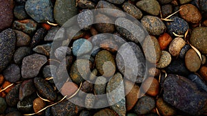 Pebble beach stone background