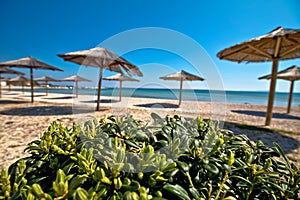 Pebble beach and umbrellas view, Island of Vir