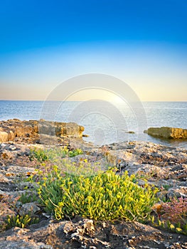 Pebble beaches