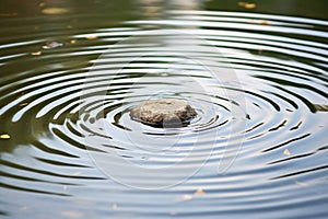 a pebble causing ripples in a still pond