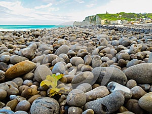 The pebble coast of English Channel