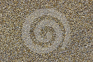 Pebble Dash Texture on an External Wall