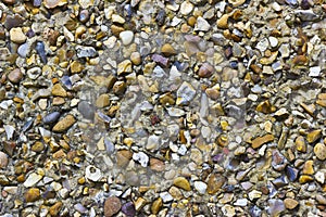 Pebble Dash Texture on an External Wall in Close Up