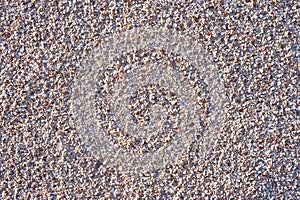 Pebble dashed concrete wall.