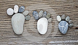 Pebble family img