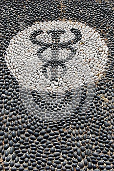Pebble mosaic of the symbol of Hypocrates photo