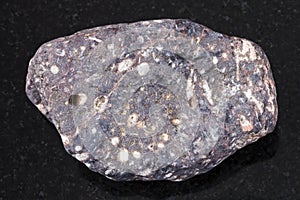 pebble of porous basalt stone on dark background
