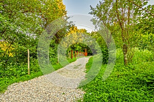 Rural pebble road and green grass. photo