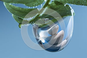 Pebble rock refracted in a drop water