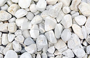 Pebble and shell texture