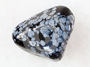 pebble of snowflake obsidian gem stone on white