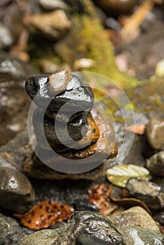 Pebble stack in the forest