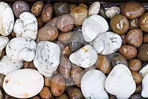 Pebble stone background,river rocks background.