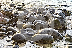 Pebble stone beach in morning light