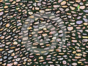 The pebble stone decorative deep in the soil floor in the park or the home garden, use as background textures or pattern.