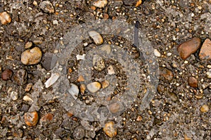 Pebble stone floor tile seamless background. Cement mixed gravel pebble stone floor texture.