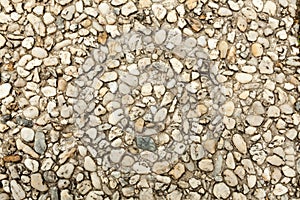 Pebble stone floor tile seamless background. Cement mixed gravel pebble stone floor texture. Wet round pebble stone rock floor in