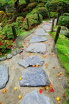Pebble stone path with maple leaves