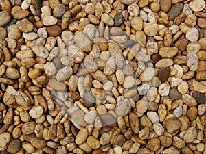 Pebble stone wall background, smooth stone background