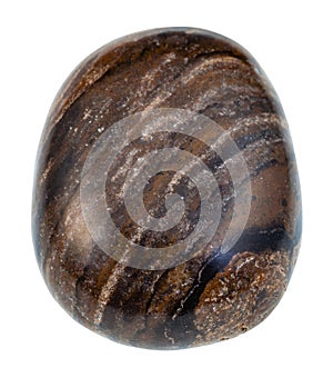 Pebble of stromatolite gemstone from Peru isolated