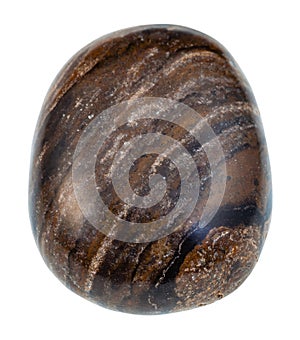 Pebble of stromatolite gemstone from Peru isolated photo