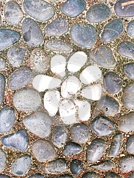 Pebble wash stepping stone arranged with flower pattern in the middle