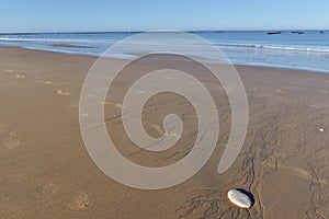 Pebble in the wet sand on the beach with sea background