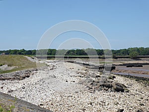Pebbled beach area by Humber estuary