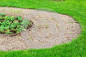 Pebbled path in the garden with a flower bed.