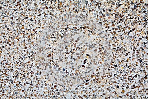 Pebbledash Wall Texture