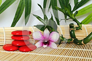 Pebbles arranged in Zen lifestyle with a orchid on the right side of bamboo twisted on wooden floor and foliage backg