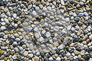 Pebbles on the Beach